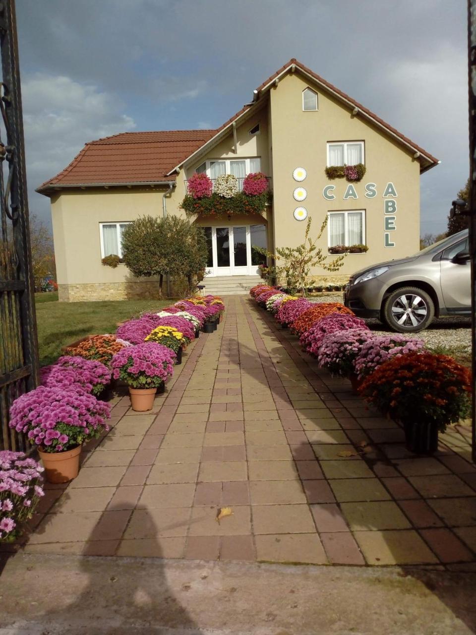 Pensiunea Abel Hotel Mihai Viteazu  Exterior photo