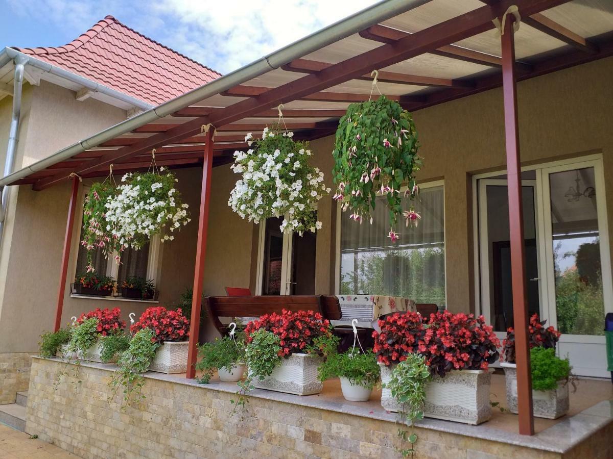 Pensiunea Abel Hotel Mihai Viteazu  Exterior photo